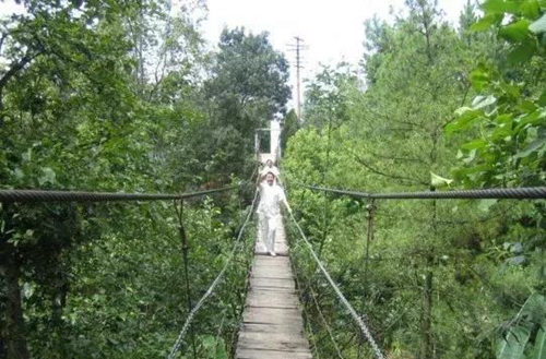 559e-fyvtmxe515200104 559e-fyvtmxe515200104