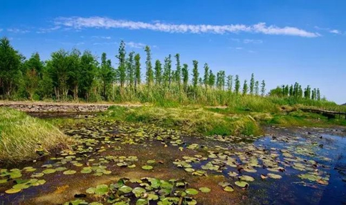 3730-fyvtmxe515209103 3730-fyvtmxe515209103