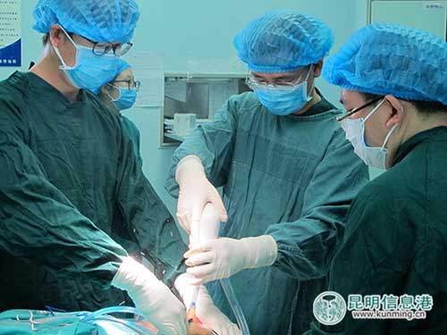 手術(shù)現(xiàn)場(chǎng)。供圖1