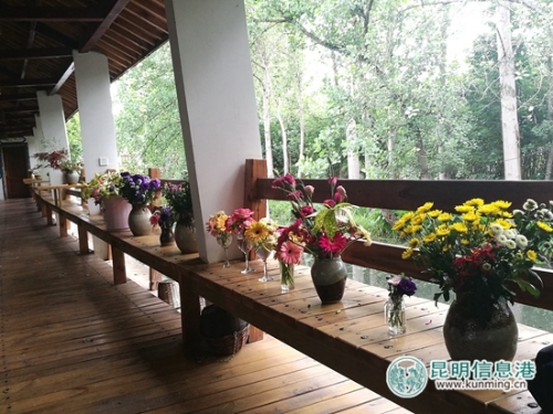 蘅芷院t長廊小景。