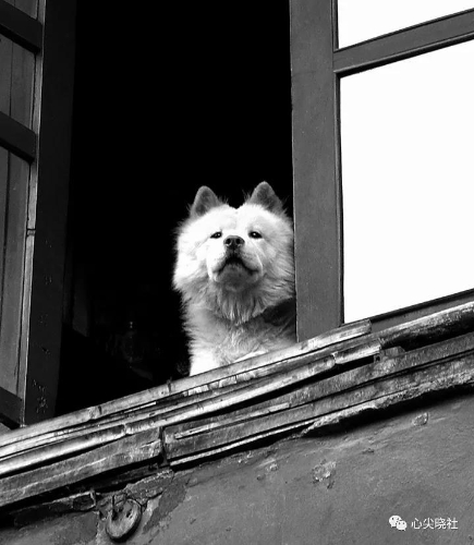 微信圖片_20180614193323