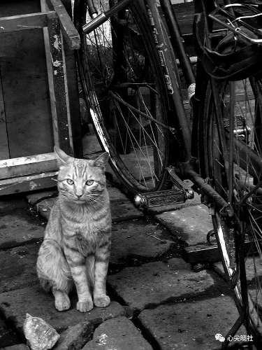 微信圖片_20180614193328