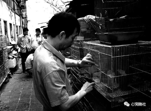 微信圖片_20180614194005