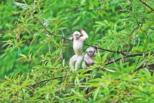 2018061702_res03_attpic_brief