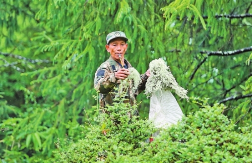 2018061803_res07_attpic_brief 2018061803_res07_attpic_brief