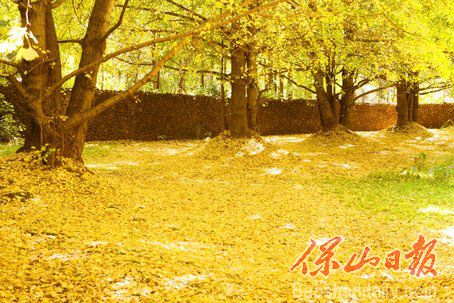 6f9d8c4c02b2a0d013e8b4901fd875b1 6f9d8c4c02b2a0d013e8b4901fd875b1