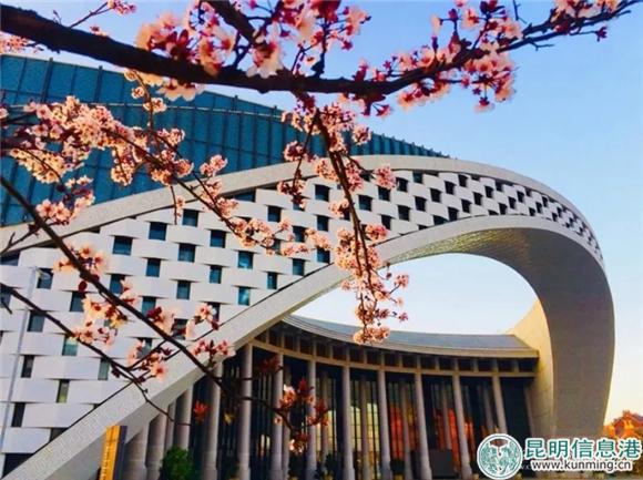 04.《云南大劇院—無愧“云之冠”》 04.《云南大劇院—無愧“云之冠”》