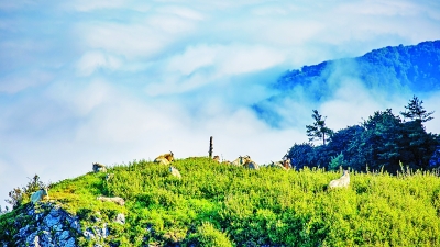 協(xié)同推動經(jīng)濟高質(zhì)量發(fā)展和生態(tài)環(huán)境高水平保護