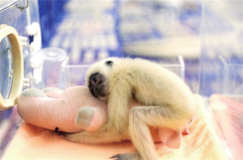 P)REZ7V[)5JZYZ%Z3G~SZ(0