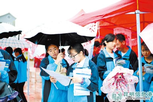 高招會玉溪3 高招會玉溪3