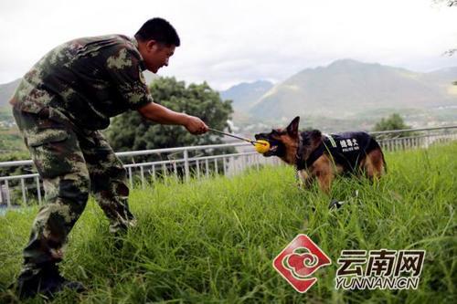 000c29bdab6c1c9b518a38 000c29bdab6c1c9b518a38