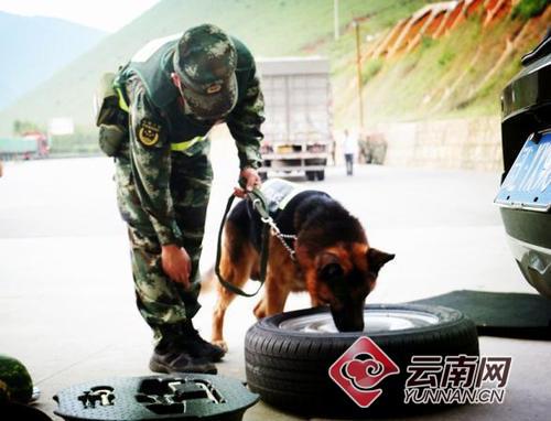 000c29bdab6c1c9b518a37 000c29bdab6c1c9b518a37