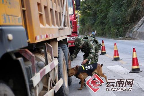 000c29bdab6c1c9b53ac49 000c29bdab6c1c9b53ac49