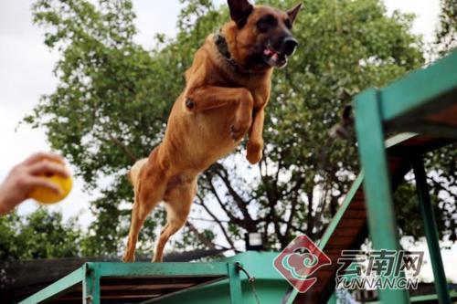 000c29bdab6c1c9b53ac4a 000c29bdab6c1c9b53ac4a