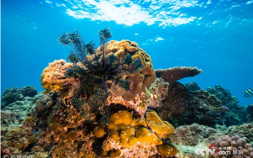 QQ截圖20180627133838