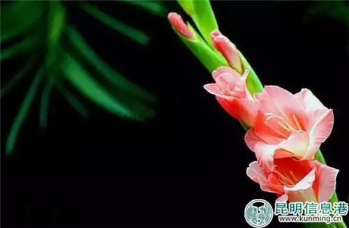 640.webp (3) 640.webp (3)