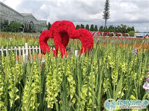 IMG_20180627_150908 IMG_20180627_150908