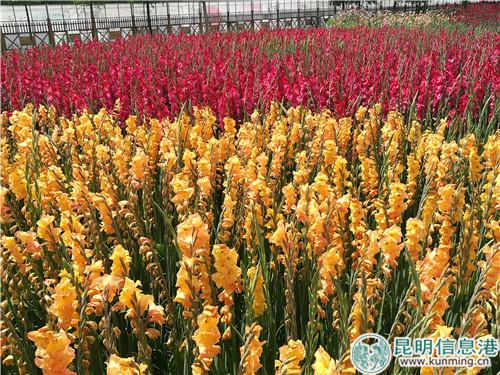 IMG_20180627_151004 IMG_20180627_151004