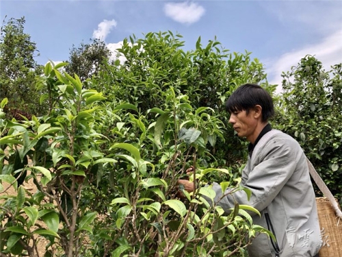 20180627090820772 20180627090820772