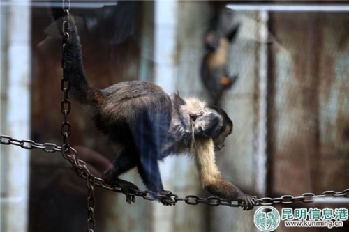 都市時(shí)報(bào)記者曲鳴飛攝