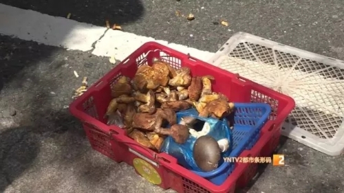 640.webp (3) 640.webp (3)