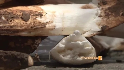 640.webp (1) 640.webp (1)