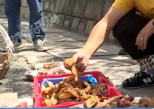 640.webp (2) 640.webp (2)