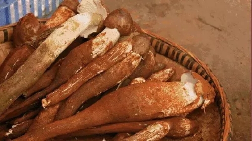 640.webp (5) 640.webp (5)