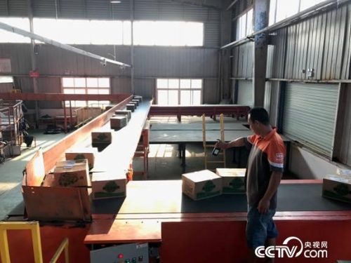 2018070816025630721 2018070816025630721