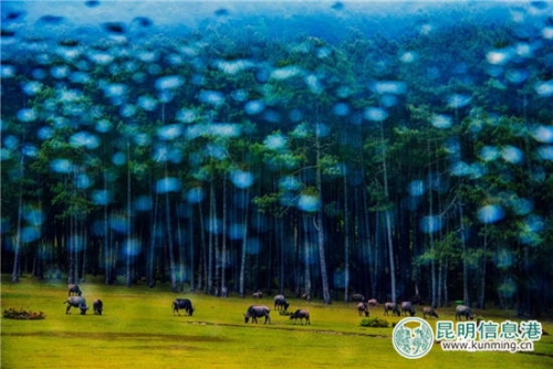 李華海:窗外風(fēng)景 李華海:窗外風(fēng)景