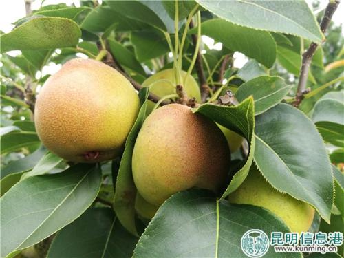 1462283143 1462283143