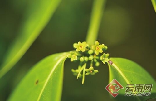 00300019903_3f03d5e7 00300019903_3f03d5e7