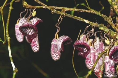 00300019901_18c0d886 00300019901_18c0d886