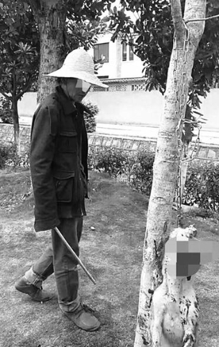 00300019891_654e7c03