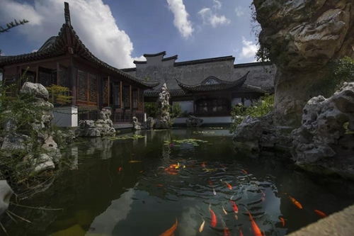 震澤魅力夜色喚起江南思緒萬千