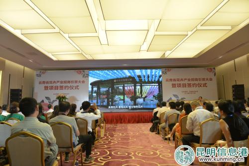 云南花卉產(chǎn)業(yè)招商引資大會暨簽約儀式現(xiàn)場。記者勞學(xué)麗 攝_編輯