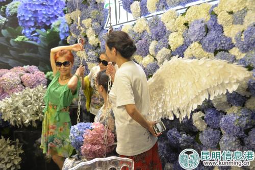 繡球花展位前牌照的觀眾。記者勞學(xué)麗 攝