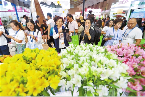 QQ截圖201807140930593