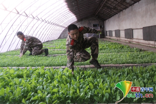 W020180716485210625212 W020180716485210625212