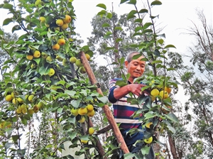 2018071803_res12_attpic_icon