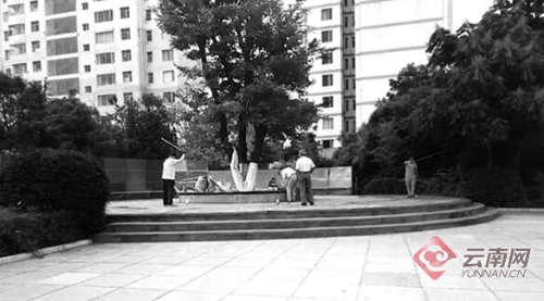 00300026483_61ce755b 00300026483_61ce755b