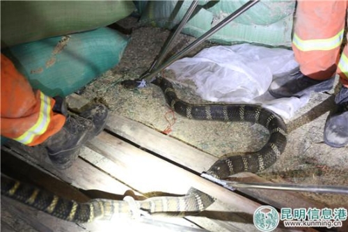 微信圖片_20180719150317 微信圖片_20180719150317