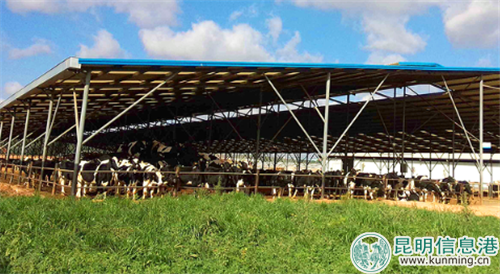 雪蘭生態(tài)牧場。