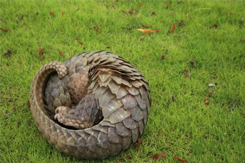 微信圖片_20180724141028.jpg 微信圖片_20180724141028.jpg