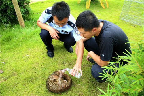 微信圖片_20180724141035.jpg 微信圖片_20180724141035.jpg