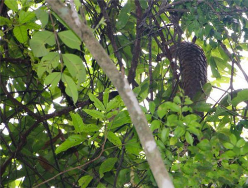 微信圖片_20180724141043.jpg 微信圖片_20180724141043.jpg