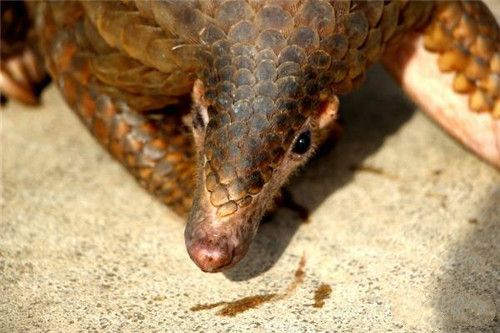 微信圖片_20180724141046.jpg 微信圖片_20180724141046.jpg