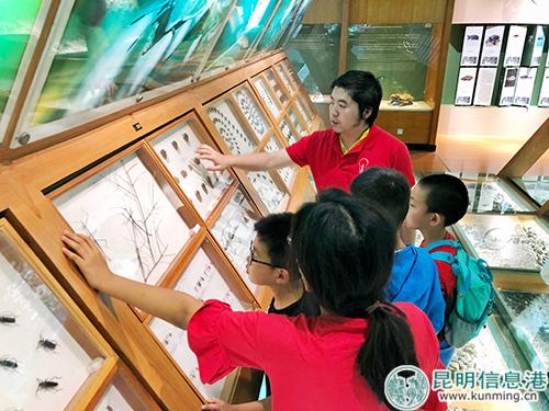 教育封面8 教育封面8