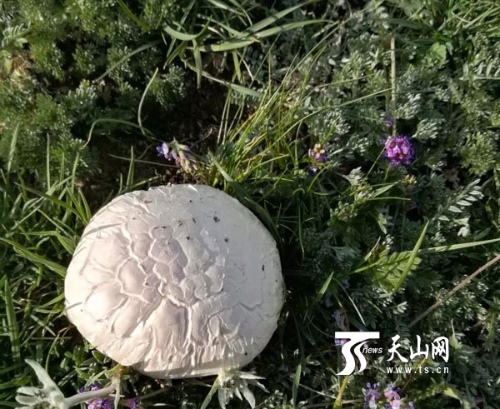 00350390076_b28ed9ca