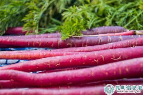 紫玉蘿-云南高原紫胡蘿卜 (2)